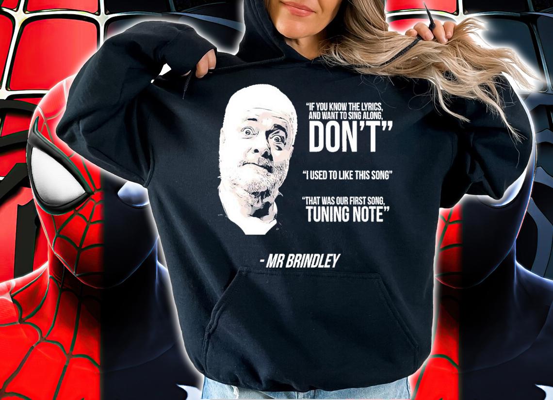 If you know the lyrics and want to sing along don't I used to like this song Mr Brindley shirt t-shirt hoodie